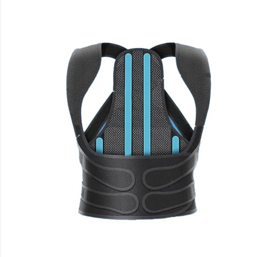 PosturePro Support Belt